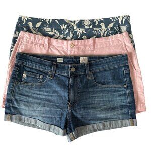 Size 10 - Bundled Shorts- Premium Contemporary Brands (LOFT/AG/RL Polo)